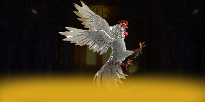 
Trải nghiệm VWIN - Thương hiệu được đánh giá cao mới nhất hiện nay
