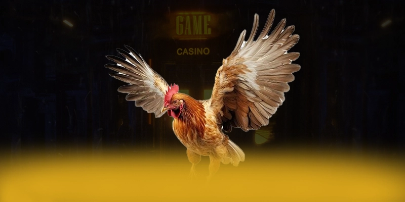 CONGA6789 - Trang game với chính sách tặng thưởng đẳng cấp được giới cược thủ đánh giá cao – Khám phá phần thưởng khủng từ CONGA6789