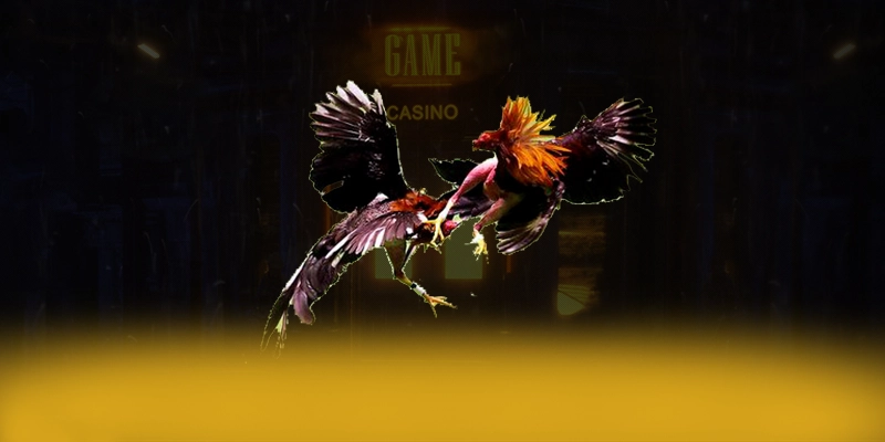 CONGA6789 – Cổng cá cược chất lượng, được cộng đồng đánh giá tích cực. CONGA6789 – Cổng cá cược chất lượng, được cộng đồng đánh giá tích cực.