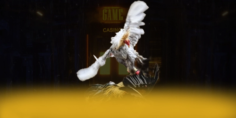 CONGA6789 - Thương hiệu game uy tín minh bạch được cộng đồng game thủ công nhận – Khám phá độ uy tín của CONGA6789 CONGA6789 - Thương hiệu game uy tín minh bạch được cộng đồng game thủ công nhận – Khám phá độ uy tín của CONGA6789