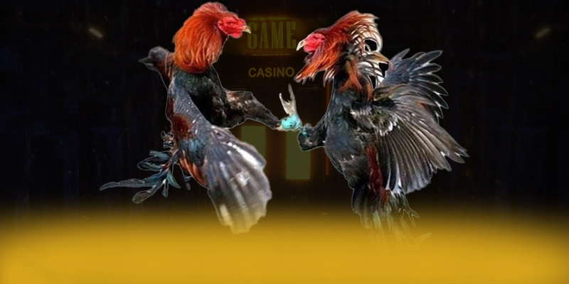 
Khám phá thế giới của GA6789 - Sân chơi uy tín được quan tâm
