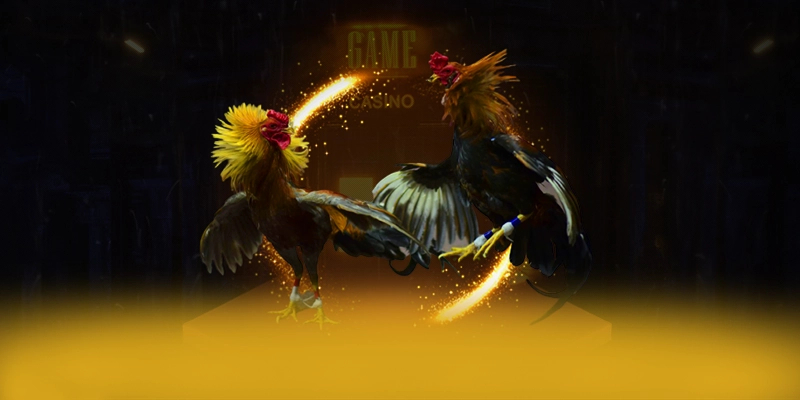 SA88 – Cổng cá cược hàng đầu Việt Nam, được giới cược thủ đánh giá cao.