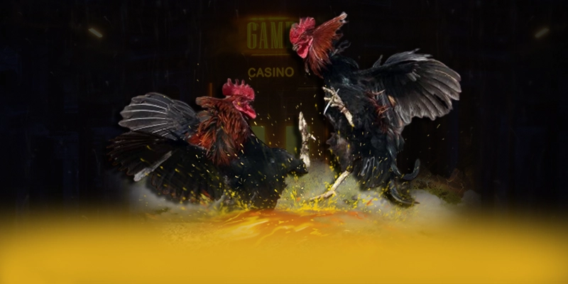 UU88 - Cổng giải trí minh bạch được cộng đồng game thủ công nhận – Khám phá sự an toàn và minh bạch tại UU88 UU88 - Cổng giải trí minh bạch được cộng đồng game thủ công nhận – Khám phá sự an toàn và minh bạch tại UU88