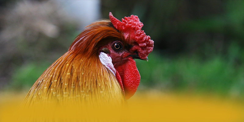 tài xỉu online - Cổng game ưu đãi khủng được người chơi tin tưởng – Khám phá chi tiết tài xỉu online