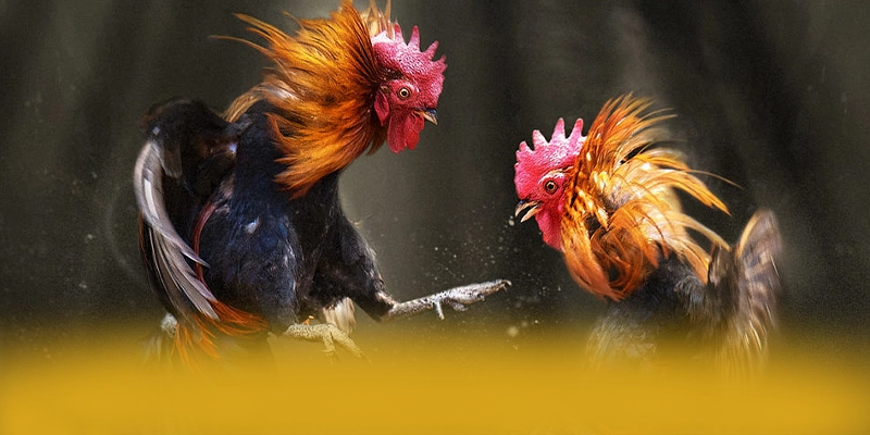 tài xỉu online – Thương hiệu được yêu thích nhất, khẳng định vị thế hàng đầu tại Việt Nam.