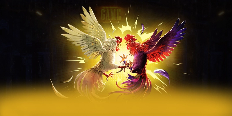 FAFA191 - Cổng giải trí được yêu thích số 1 Việt Nam