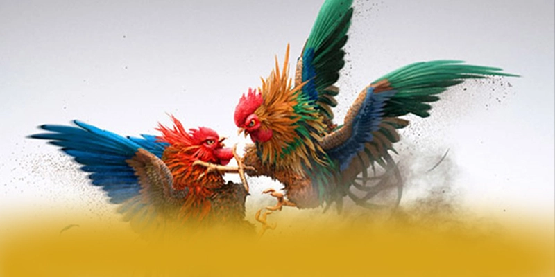 KKWIN - Sân chơi mang đến thế giới game đa dạng được yêu thích nhất – Khám phá sản phẩm hấp dẫn của KKWIN KKWIN - Sân chơi mang đến thế giới game đa dạng được yêu thích nhất – Khám phá sản phẩm hấp dẫn của KKWIN