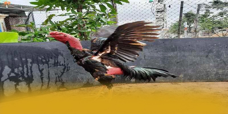 Khám phá B52 - Thương hiệu an toàn tuyệt đối trên thị trường
Khám phá B52 - Thương hiệu an toàn tuyệt đối trên thị trường