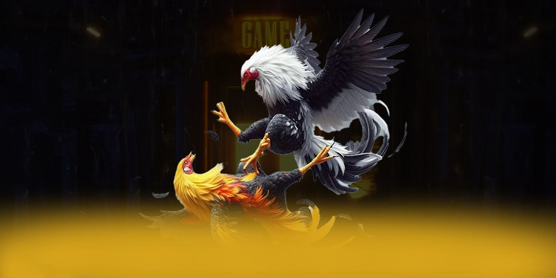 UU88 - Sảnh game có độ an toàn vượt trội được yêu thích hàng đầu – Cập nhật thông tin về UU88 UU88 - Sảnh game có độ an toàn vượt trội được yêu thích hàng đầu – Cập nhật thông tin về UU88