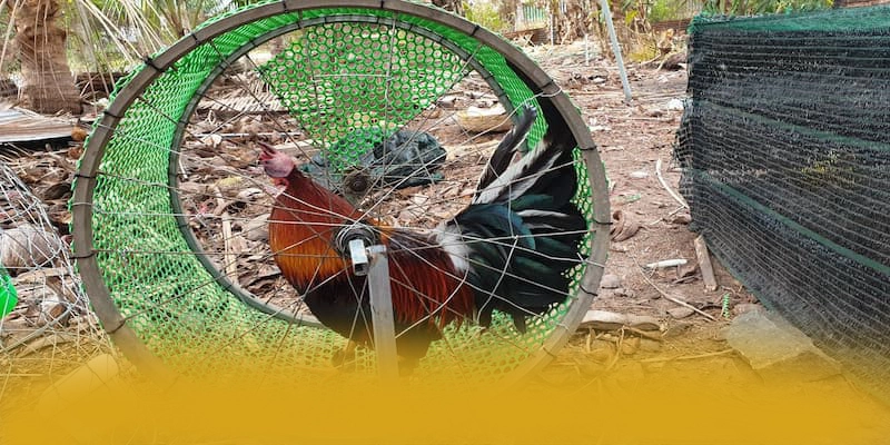 AU88 - Trang game phổ biến hàng đầu được cộng đồng đánh giá cao AU88 - Trang game phổ biến hàng đầu được cộng đồng đánh giá cao