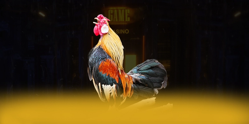 ZBET - Hỗ trợ người chơi tận tâm luôn sẵn sàng