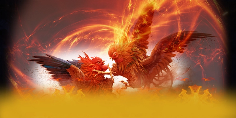 vabet - Nhà cái sở hữu danh mục sản phẩm phong phú tại Việt Nam vabet - Nhà cái sở hữu danh mục sản phẩm phong phú tại Việt Nam