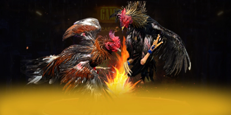 8XBET - Ứng dụng và giao diện mobile tối ưu